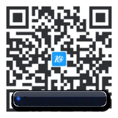 系统版 iOS 二维码